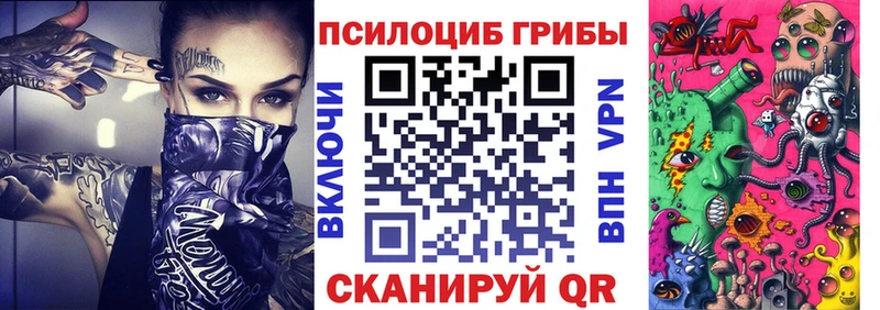 наркошоп Болотное Псилоцибиновые грибы мицелий