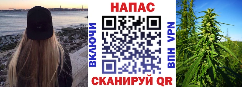 продажа наркотиков Болотное Каннабис тримм